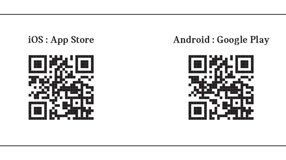 MINI APP